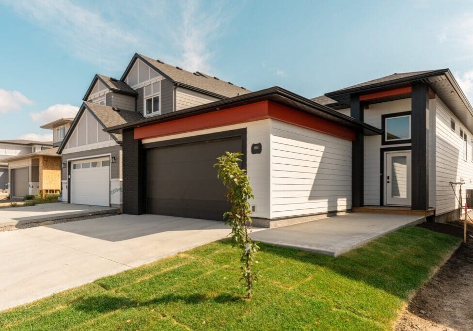 Suburban driveway and young tree near entrance.